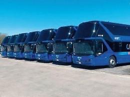 Cotral, tante novità per agevolare i pendolari: orari e corse