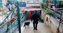 Spaccio di droga a conduzione familiare: attesa per gli interrogatori