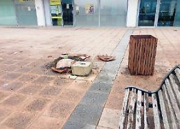 In azione i vandali del sabato sera: fioriere distrutte e degrado