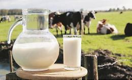 Latte: made in Lazio a forte rischio. La tracciabilità è fondamentale