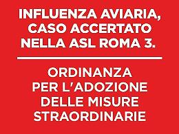 Influenza aviaria, c'è un caso nel Lazio: focolaio in un allevamento