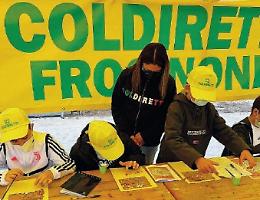 Viaggio nella cooperativa oleicola: educare i bambini a mangiare sano