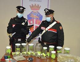 Oltre mezzo chilo di droga nascosto in casa: giovane pusher finisce nei guai