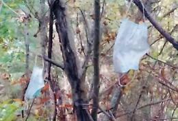 Gli incivili deturpano il bosco: mascherine appese agli alberi e degrado