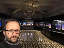 Il telescopio del ciociaro Gianluca Masi riprende la sonda della missione Dart