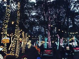“Il magico bosco del Natale”: turisti da tutta Italia alle terme Varroniane