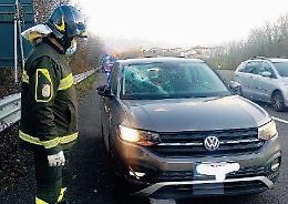 Raffiche di vento e disagi: non riescono ad evitare i rami in strada, paura per 2 persone