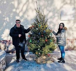 L'albero dei ricordi” è un successo: un momento emozionante al cimitero