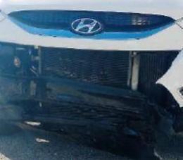 Auto contro cinghiale sulla Sora - Ferentino: animale morto e paura per un giovane