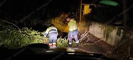Il vento mette in ginocchio la città, alberi caduti e danni ad una palazzina Ater