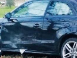 Incidente sulla provinciale, auto contro cinghiale: impatto violentissimo e tanta paura