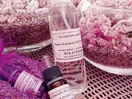 La “lavanda del cuore” diventa un olio essenziale: la storia di Salvatore e Stefania