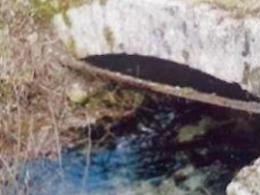 Ponte romano “scomparso” da sette anni: letteralmente inghiottito dagli arbusti