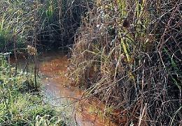Fanghi e acque rosse nel fiume: si cercano i punti di immissione