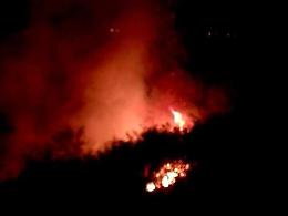 Quadruplicano i boschi in fiamme: dall'inizio dell'anno è una vera emergenza