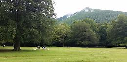 Prato di Campoli sarà monumento naturale: «Lascito importante per future generazioni»