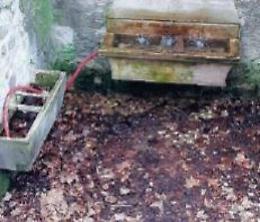 Incuria e degrado nella nuova fontana alla sorgente Suria: il luogo deturpato