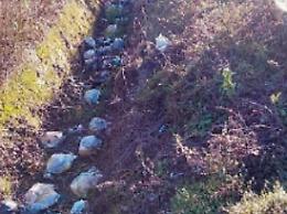 Rifiuti abbandonati nelle aree verdi, incivili in azione: la rabbia dei cittadini