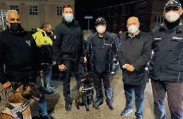 Movida e sicurezza in strada: in azione i cani antidroga dei vigili