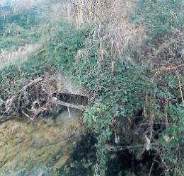 Ponte romano “scomparso” da sette anni, nessun intervento: si cercano volontari