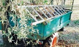 Tragica morte in campagna: l'ex giudice Del Monte trovato senza vita sotto il trattore