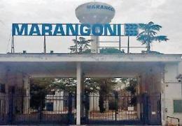 Processo Marangoni, l'epidemiologa: negli ultimi 10 anni tumori in aumento