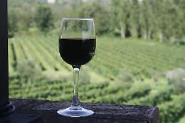 Oltre sessanta cantine per la degustazione del Cesanese