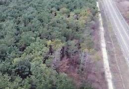 Trovato cadavere nel bosco: Antonio Spada muore a soli 43 anni, choc in città