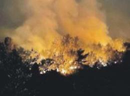Incendi nei boschi, minacciate le abitazioni: notevoli danni e paura