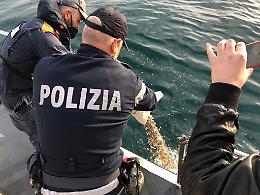 Telline pescate illegalmente: scattano sequestro e maxi sanzione