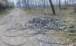 Abbandono selvaggio di rifiuti: trovati cavi elettrici nel bosco