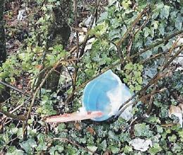 Don Chei, il fosso trasformato in una discarica a cielo aperto