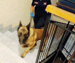 Fiumi di cocaina dal Marocco in Ciociaria: si è aperto il dibattimento