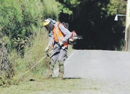 Stretta sui troppi terreni incolti: arriva l'ordinanza del sindaco