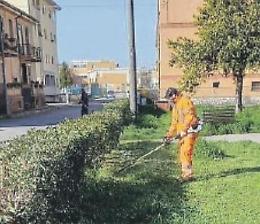 "Sora città pulita", Di Stefano posta gli interventi sul verde: pioggia di like