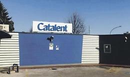 Caso Catalent, Federlazio accusa: «Pericolo annunciato, nessuno ha fatto nulla»