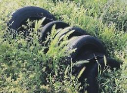 Discarica abusiva nella zona Asi. Numerosi pneumatici abbandonati