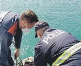 Pesca abusiva, ancora un maxi sequestro di ricci: maxi sanzioni