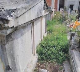 Degrado al cimitero. «Un luogo così sacro non può versare in questo stato pietoso»