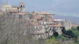 Invasione di piccioni, rischi e pericoli per i cittadini: arriva l'ordinanza
