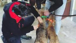 "Giornata del microchip": gli amici a 4 zampe nel piazzale delle grotte