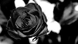 Nota professionista trovata senza vita: dolore in città. Fissati i funerali