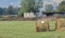Fieno “illegale” raccolto a Nocione nonostante i divieti: parte il processo
