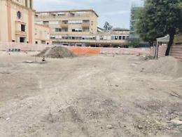 Alberi in piazza Diamare, ancora polemiche. Allarme degli animalisti per i nidi sui rami