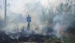 Fiamme nella zona verde di Foresta: piromani in azione