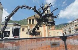 Cantiere di piazza Diamare: alberi sradicati. Insorge la Lipu