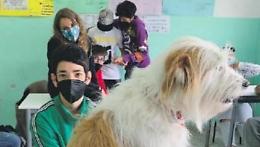 I cani arrivano tra i banchi di scuola. Pet therapy con Odisse, Cesare e Tobia