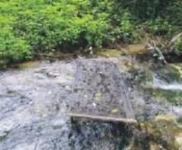 Una branda galleggia sul fiume Aniene, gesti incivili in un paradiso naturale