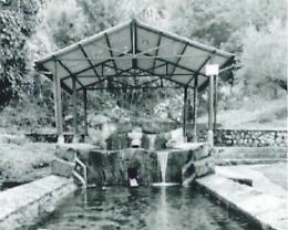 "Ricordi": storie di vita quotidiana e personaggi nel libro di Roberto Tennenini