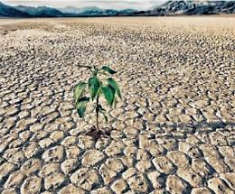 Siccità, Coldiretti lancia l'allarme: rischio desertificazione
